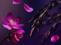 rituals-studio-yoshino-cherry-black-rice-2024_4-by-3.webp