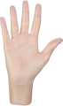 vinylexr-powder-free-1.png