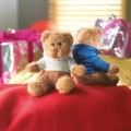 mis.jpg
