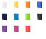 TORBA PREZENTOWA EKOLOGICZNA Non-Woven 70g 34x43cm
